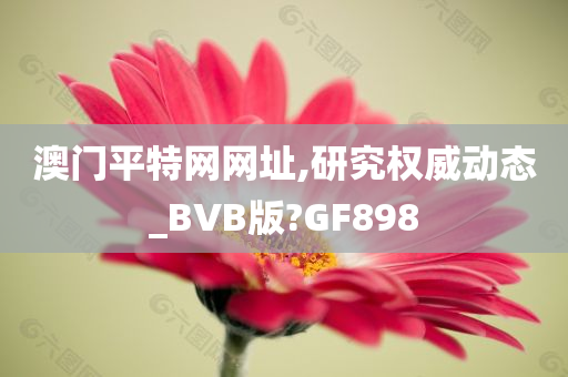 澳门平特网网址,研究权威动态_BVB版?GF898