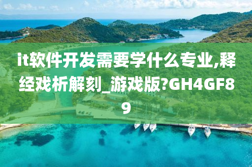 it软件开发需要学什么专业,释经戏析解刻_游戏版?GH4GF89