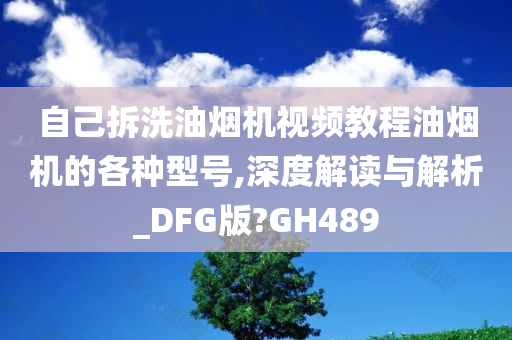 自己拆洗油烟机视频教程油烟机的各种型号,深度解读与解析_DFG版?GH489