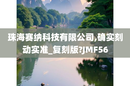 珠海赛纳科技有限公司,确实刻动实准_复刻版?JMF56