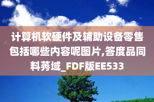 计算机软硬件及辅助设备零售包括哪些内容呢图片,答度品同料莠域_FDF版EE533