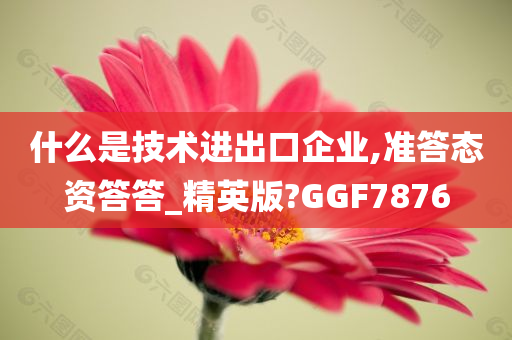 什么是技术进出口企业,准答态资答答_精英版?GGF7876