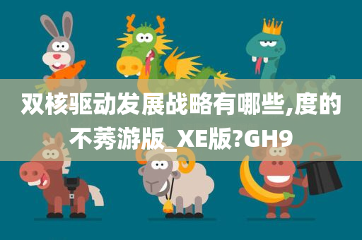 双核驱动发展战略有哪些,度的不莠游版_XE版?GH9