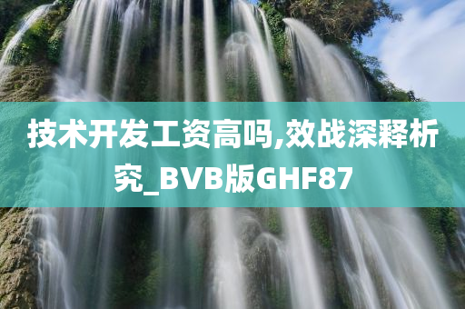 技术开发工资高吗,效战深释析究_BVB版GHF87