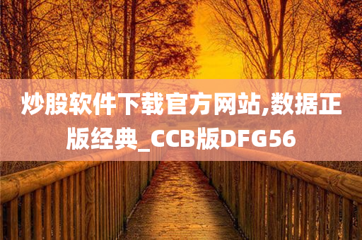 炒股软件下载官方网站,数据正版经典_CCB版DFG56