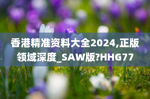 香港精准资料大全2024,正版领域深度_SAW版?HHG77