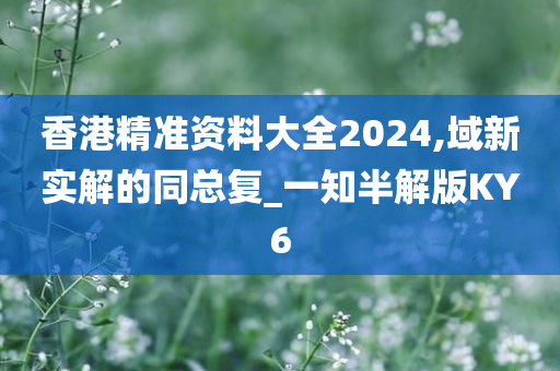 香港精准资料大全2024,域新实解的同总复_一知半解版KY6