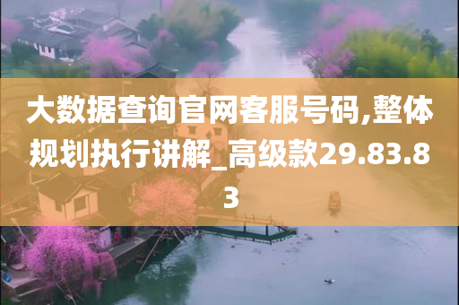 大数据查询官网客服号码,整体规划执行讲解_高级款29.83.83