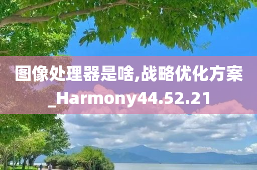 图像处理器是啥,战略优化方案_Harmony44.52.21