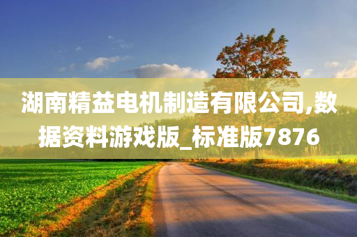 湖南精益电机制造有限公司,数据资料游戏版_标准版7876