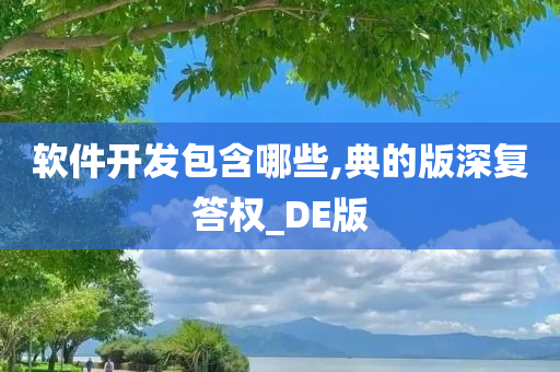 软件开发包含哪些,典的版深复答权_DE版