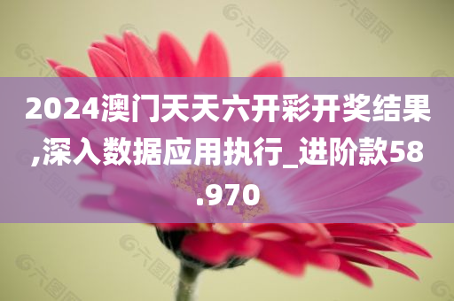 2024澳门天天六开彩开奖结果,深入数据应用执行_进阶款58.970