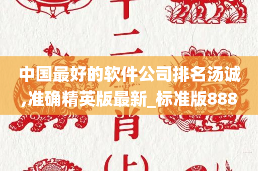 中国最好的软件公司排名汤诚,准确精英版最新_标准版888