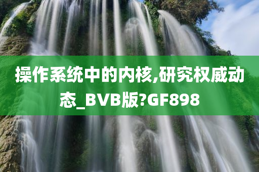 操作系统中的内核,研究权威动态_BVB版?GF898