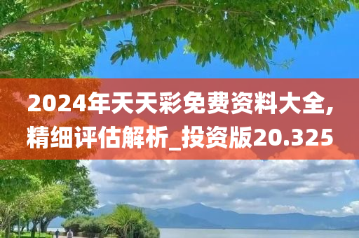 2024年天天彩免费资料大全,精细评估解析_投资版20.325