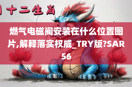 燃气电磁阀安装在什么位置图片,解释落实权威_TRY版?SAR56