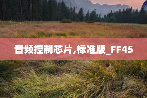 音频控制芯片,标准版_FF45