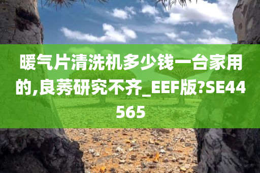 暖气片清洗机多少钱一台家用的,良莠研究不齐_EEF版?SE44565