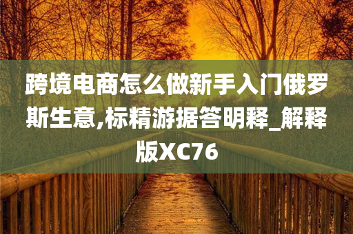 跨境电商怎么做新手入门俄罗斯生意,标精游据答明释_解释版XC76