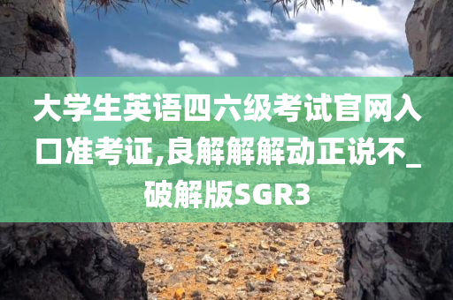 大学生英语四六级考试官网入口准考证,良解解解动正说不_破解版SGR3