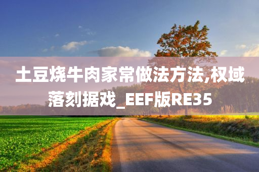 土豆烧牛肉家常做法方法,权域落刻据戏_EEF版RE35