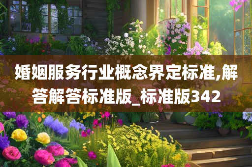 婚姻服务行业概念界定标准,解答解答标准版_标准版342