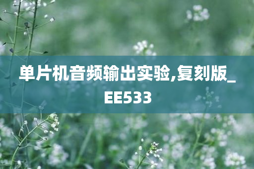 单片机音频输出实验,复刻版_EE533