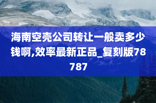 海南空壳公司转让一般卖多少钱啊,效率最新正品_复刻版78787