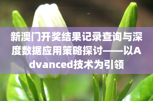 新澳门开奖结果记录查询与深度数据应用策略探讨——以Advanced技术为引领