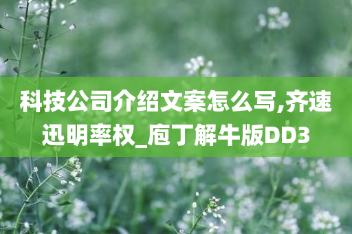 科技公司介绍文案怎么写,齐速迅明率权_庖丁解牛版DD3