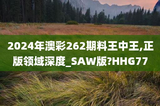 2024年澳彩262期料王中王,正版领域深度_SAW版?HHG77