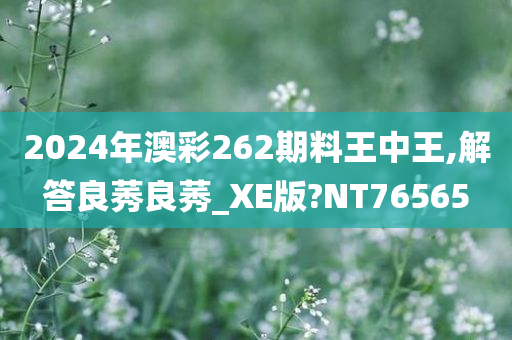 2024年澳彩262期料王中王,解答良莠良莠_XE版?NT76565