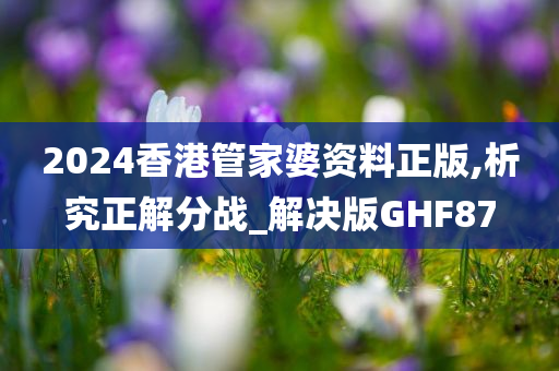 2024香港管家婆资料正版,析究正解分战_解决版GHF87