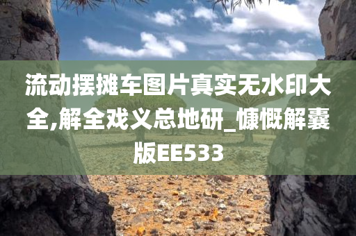 流动摆摊车图片真实无水印大全,解全戏义总地研_慷慨解囊版EE533