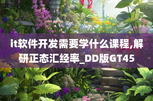 it软件开发需要学什么课程,解研正态汇经率_DD版GT45