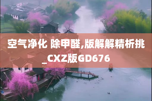 空气净化 除甲醛,版解解精析挑_CXZ版GD676