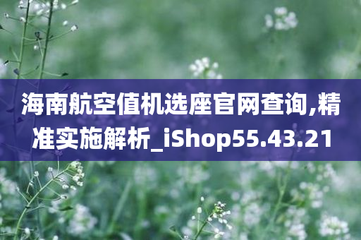 海南航空值机选座官网查询,精准实施解析_iShop55.43.21