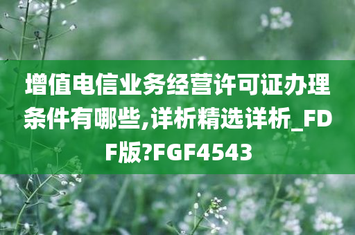 增值电信业务经营许可证办理条件有哪些,详析精选详析_FDF版?FGF4543