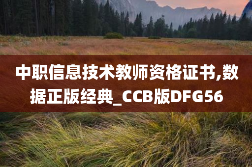 中职信息技术教师资格证书,数据正版经典_CCB版DFG56