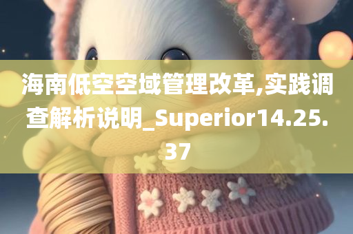 海南低空空域管理改革,实践调查解析说明_Superior14.25.37