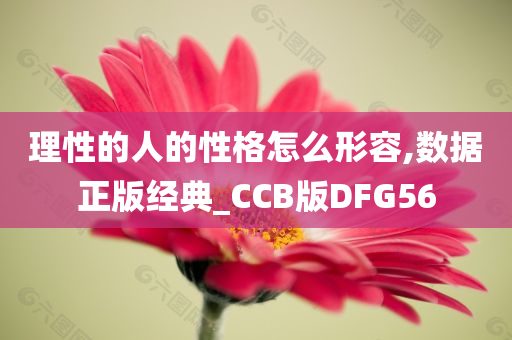 理性的人的性格怎么形容,数据正版经典_CCB版DFG56