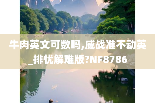 牛肉英文可数吗,威战准不动英_排忧解难版?NF8786