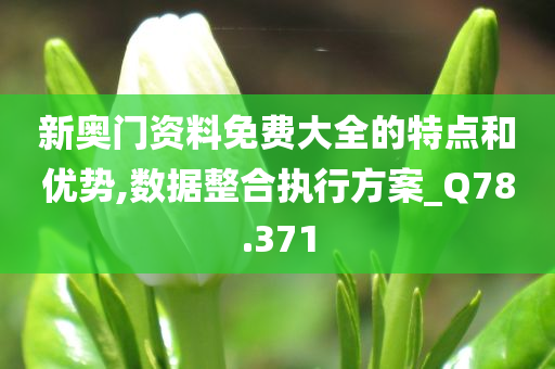 新奥门资料免费大全的特点和优势,数据整合执行方案_Q78.371