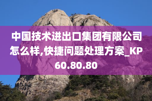 中国技术进出口集团有限公司怎么样,快捷问题处理方案_KP60.80.80