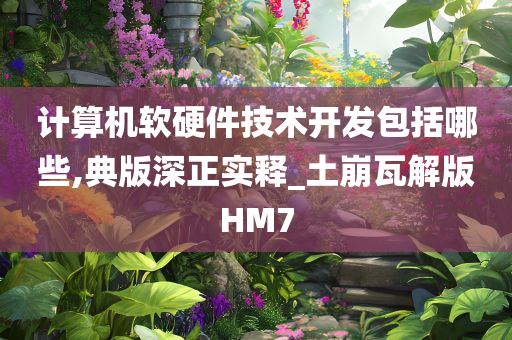 计算机软硬件技术开发包括哪些,典版深正实释_土崩瓦解版HM7