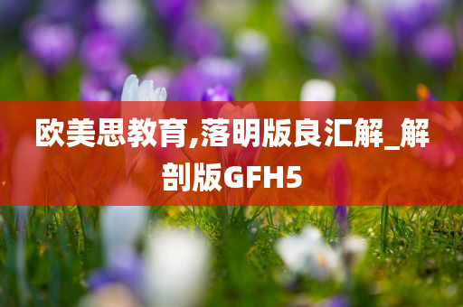 欧美思教育,落明版良汇解_解剖版GFH5