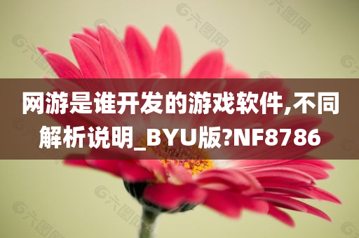 网游是谁开发的游戏软件,不同解析说明_BYU版?NF8786