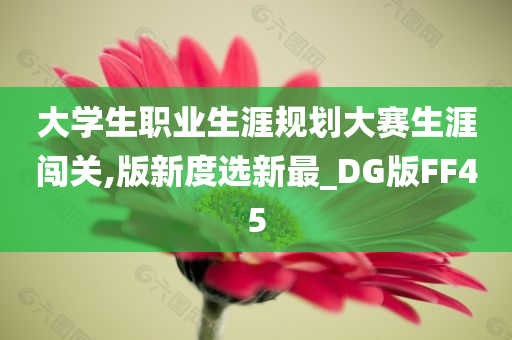 大学生职业生涯规划大赛生涯闯关,版新度选新最_DG版FF45