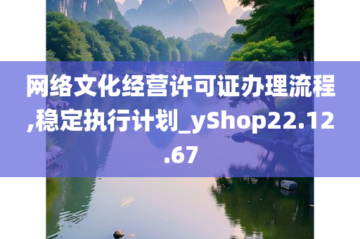 网络文化经营许可证办理流程,稳定执行计划_yShop22.12.67