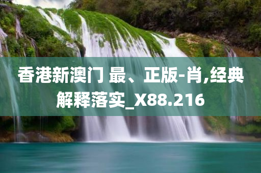 香港新澳门 最、正版-肖,经典解释落实_X88.216